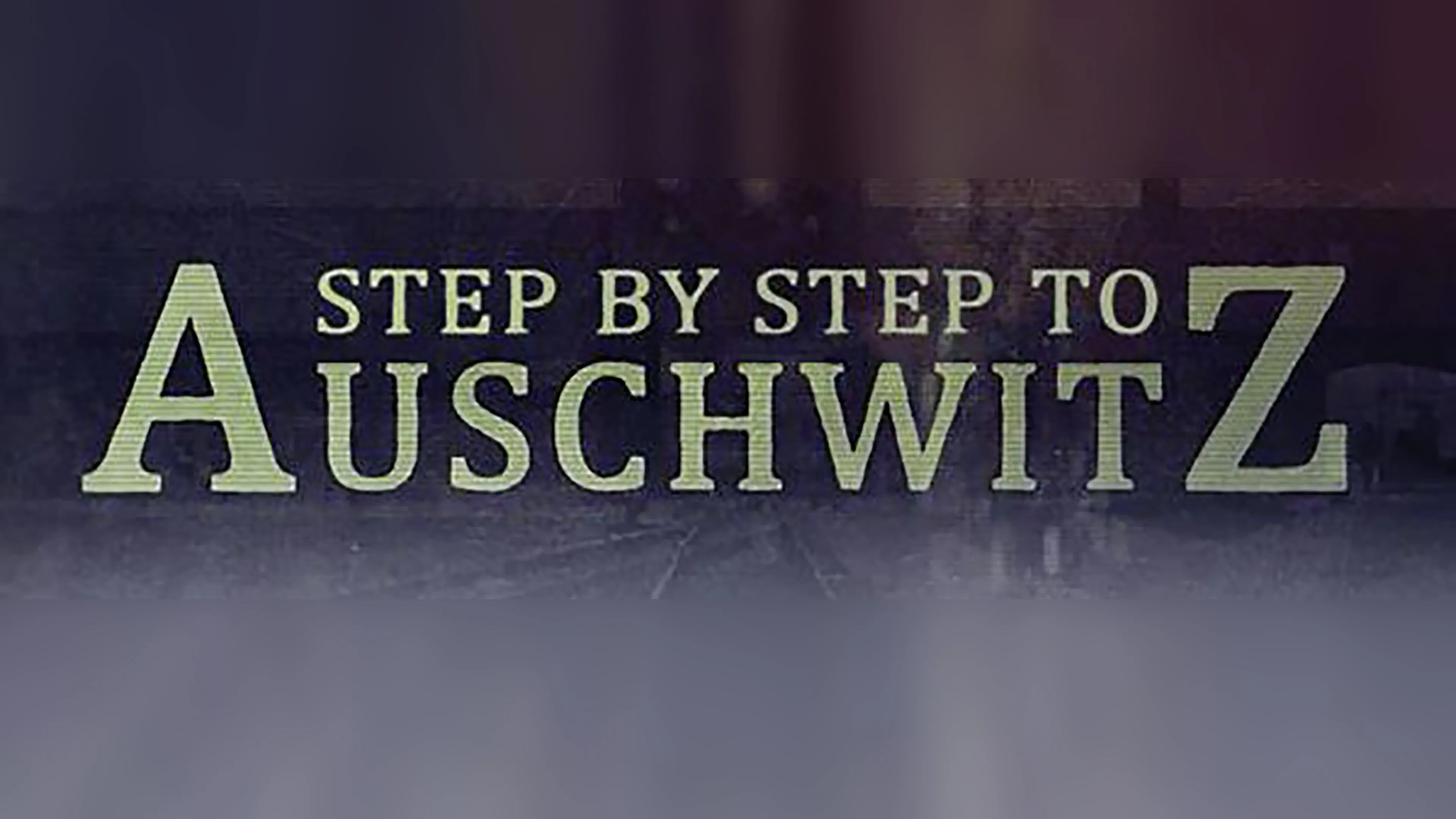 Step By Step to Auschwitz poster